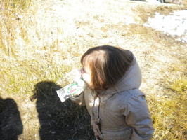 DSCN9464.JPG
